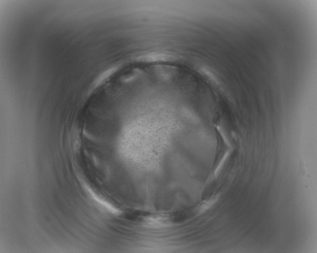 X0000081410164200701261833