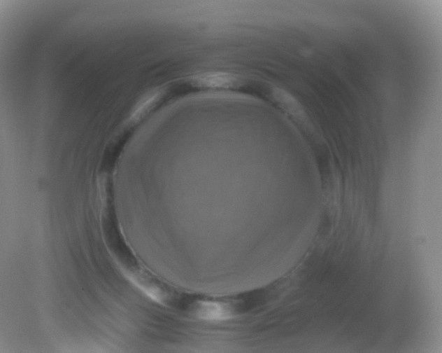 X0000081410167200701261833