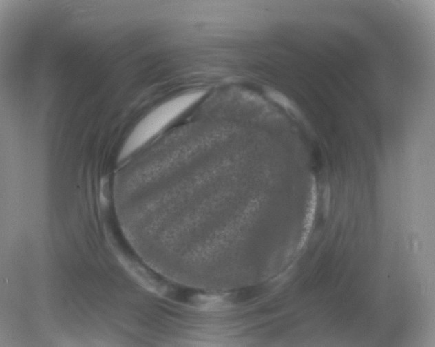 X0000081410170200701261833