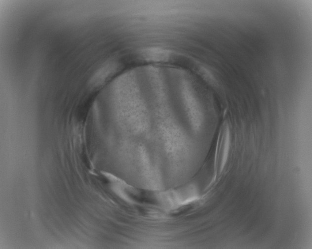 X0000081410172200701261833