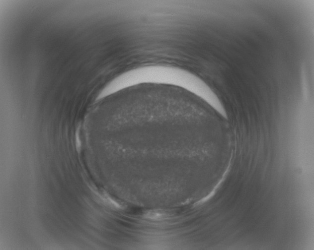 X0000081410174200701261833