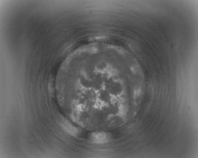 X0000081410181200701261833