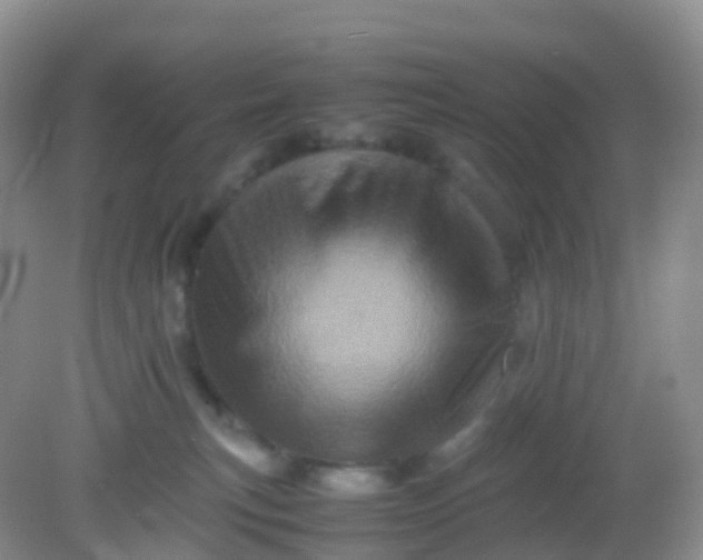 X0000081410183200701261833