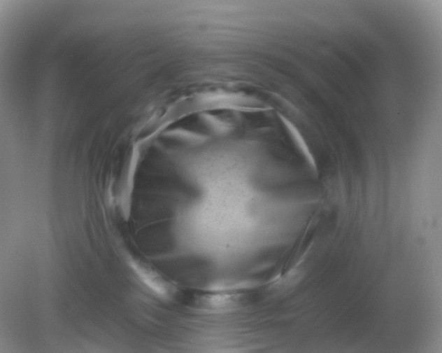 X0000081410184200701261833