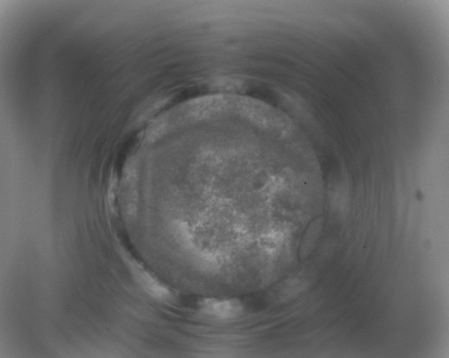 X0000081410185200701261833