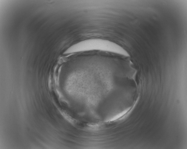 X0000081410190200701261833