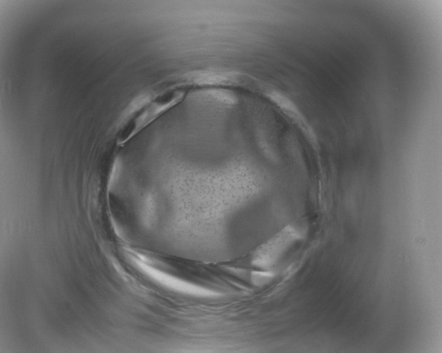 X0000081410201200701261832