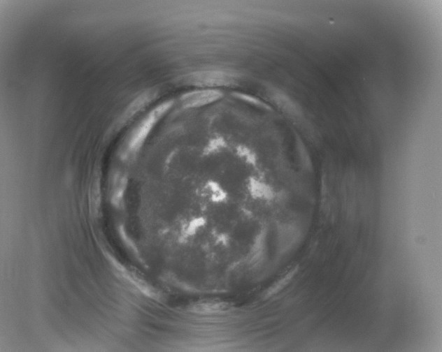 X0000081410202200701261832