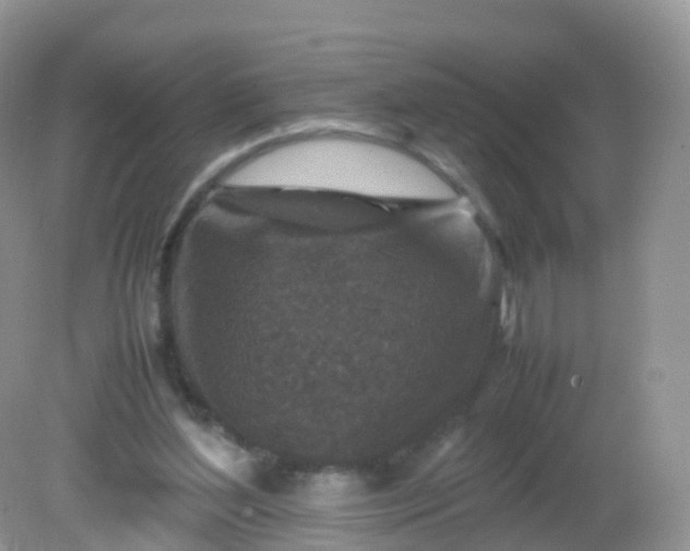 X0000081410204200701261832