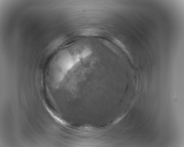X0000081410205200701261832