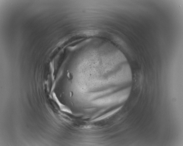 X0000081410212200701261832