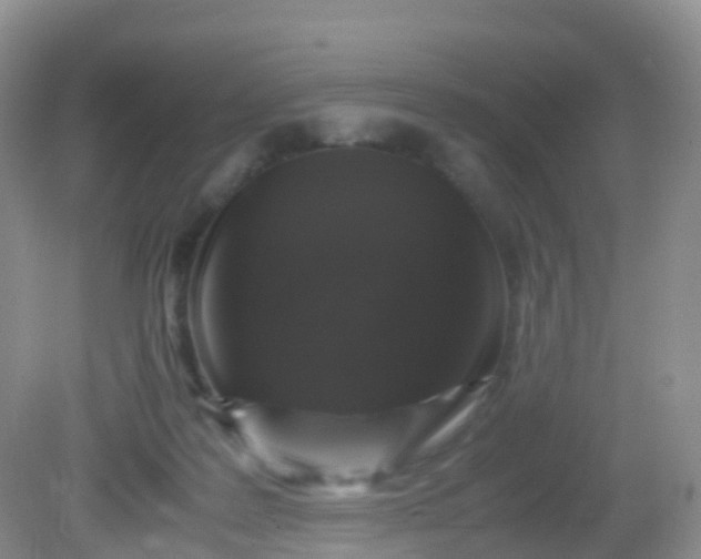 X0000081410219200701261832