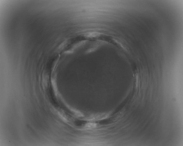 X0000081410227200701261832