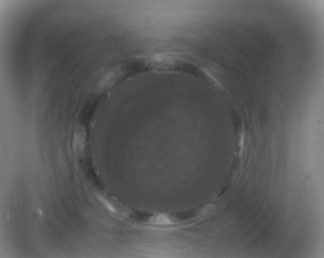 X0000081410231200701261832