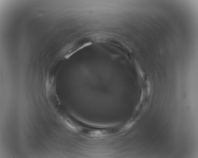 X0000081410239200701261832