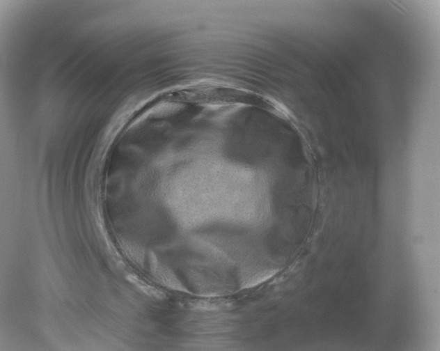 X0000081410241200701261831