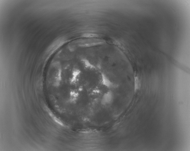 X0000081410243200701261831