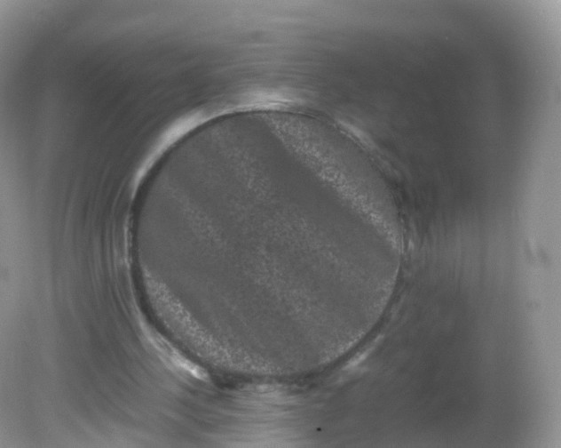 X0000081410244200701261831