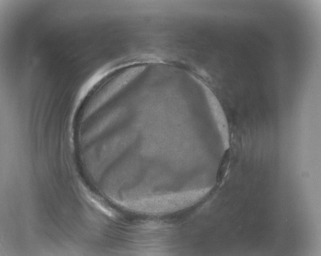 X0000081410246200701261831