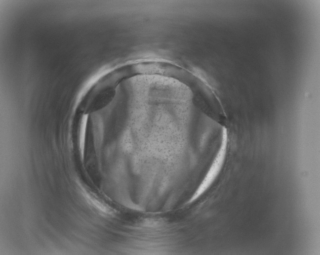 X0000081410248200701261831