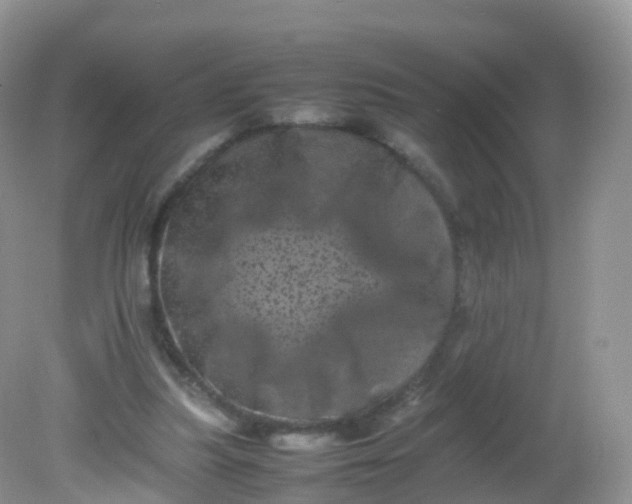 X0000081410251200701261831