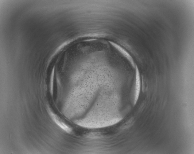X0000081410252200701261831