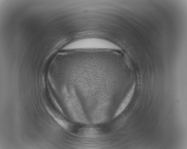 X0000081410254200701261831
