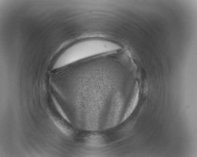 X0000081410256200701261831