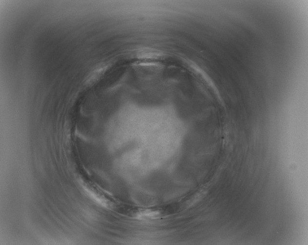 X0000081410257200701261831