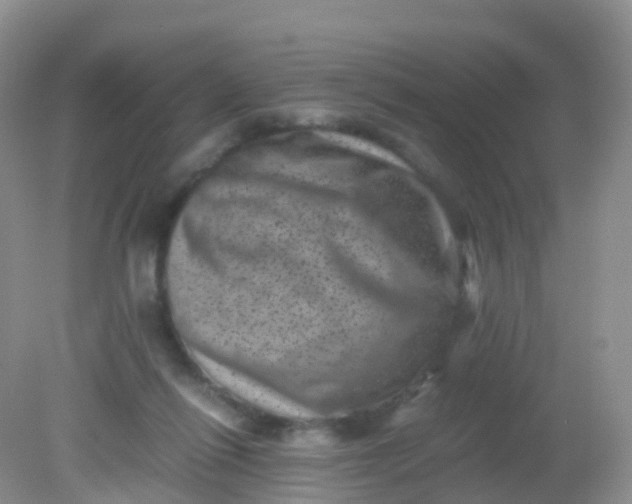 X0000081410262200701261831