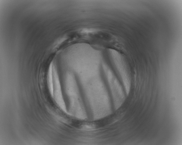 X0000081410263200701261831