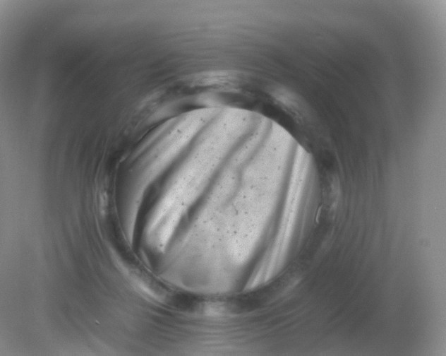 X0000081410264200701261831