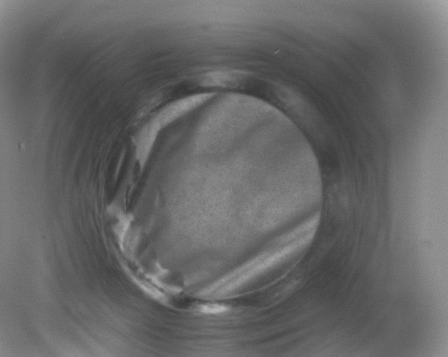X0000081410265200701261831
