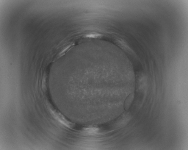 X0000081410266200701261831