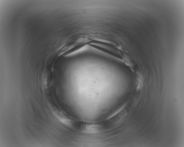 X0000081410268200701261831