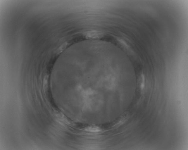 X0000081410271200701261831