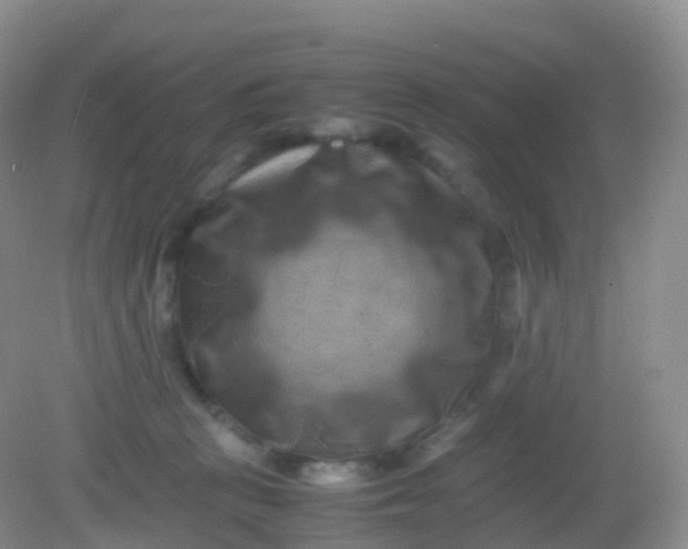 X0000081410273200701261831