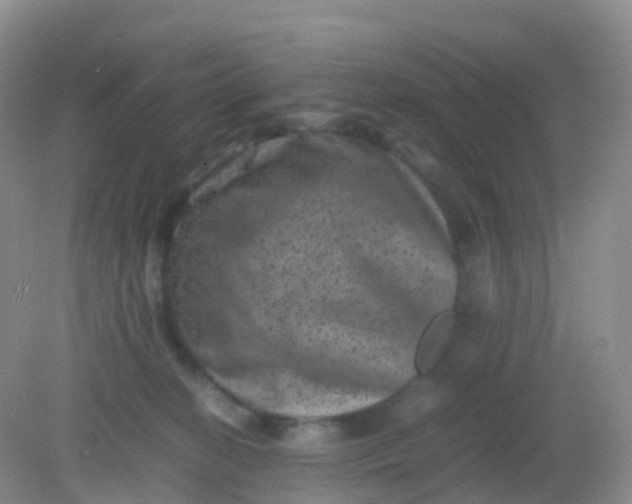 X0000081410274200701261831