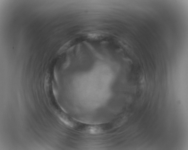X0000081410275200701261831