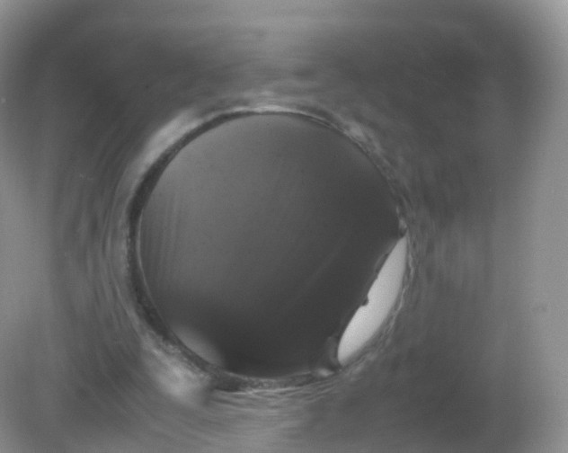 X0000081410295200701261831