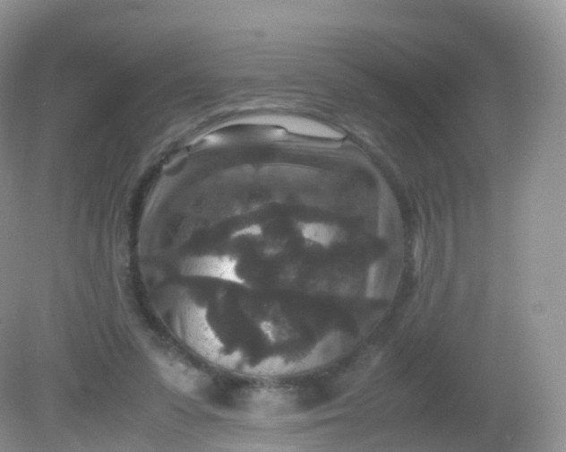 X0000081410303200701261831