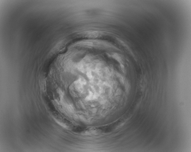 X0000081410307200701261831