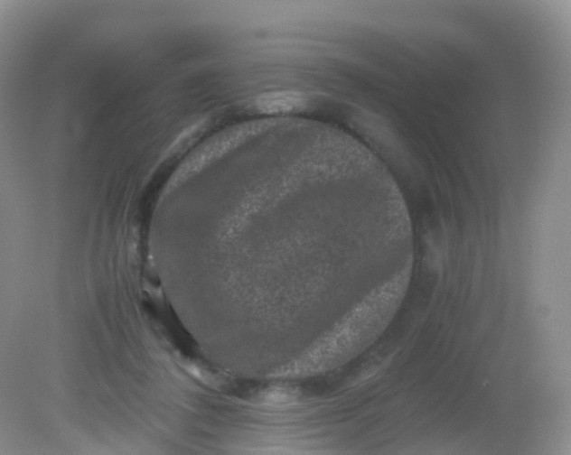 X0000081410308200701261831