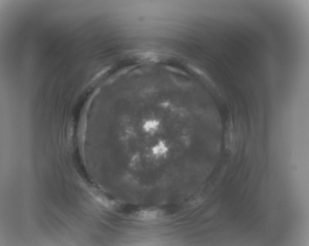 X0000081410314200701261830