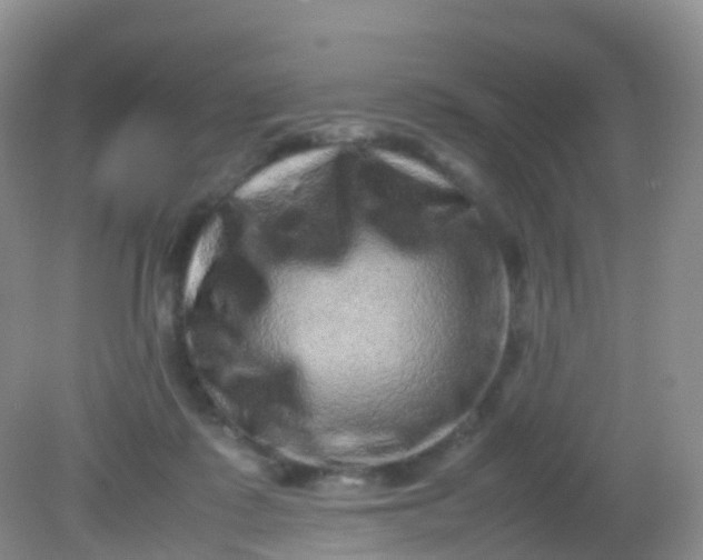 X0000081410315200701261830