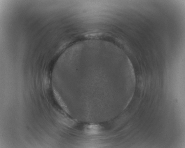 X0000081410324200701261830