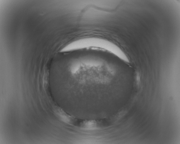 X0000081410325200701261830