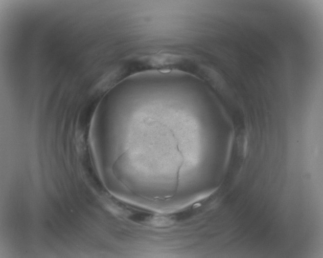 X0000081410327200701261830