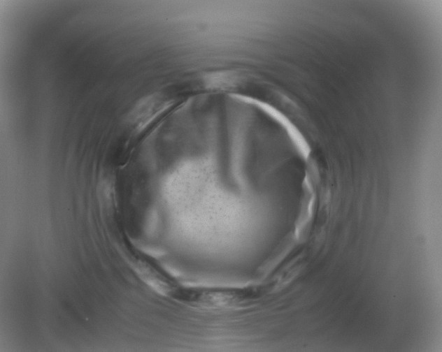 X0000081410329200701261830