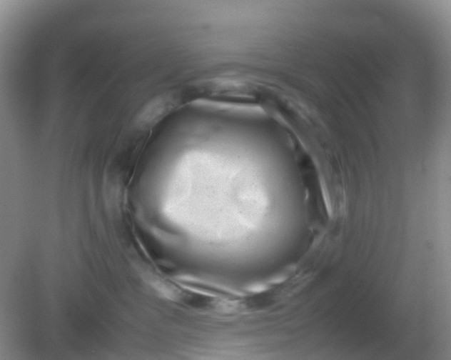X0000081410333200701261830
